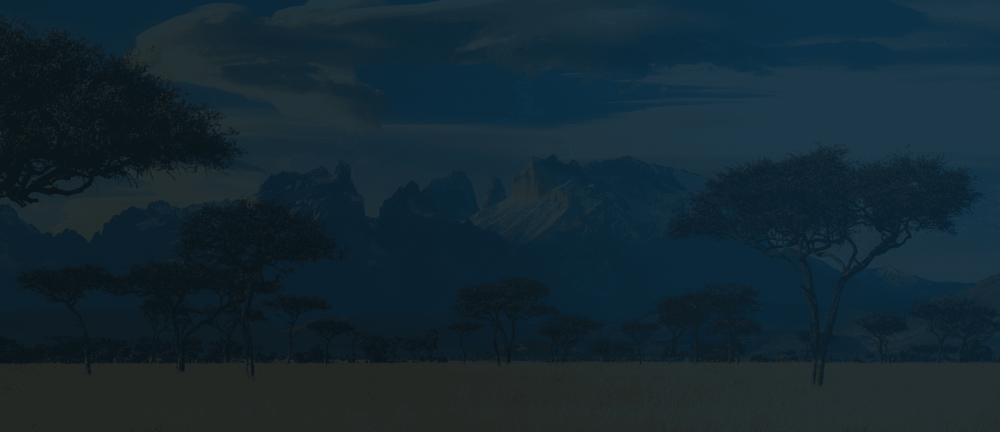 product-banner